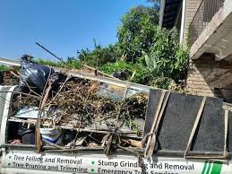 Best Same-Day Junk Removal Services  in Bodfish, CA